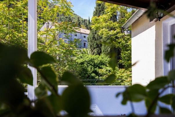 Apartment Niki *